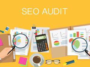 How to Conduct a Comprehensive Ecommerce SEO Audit